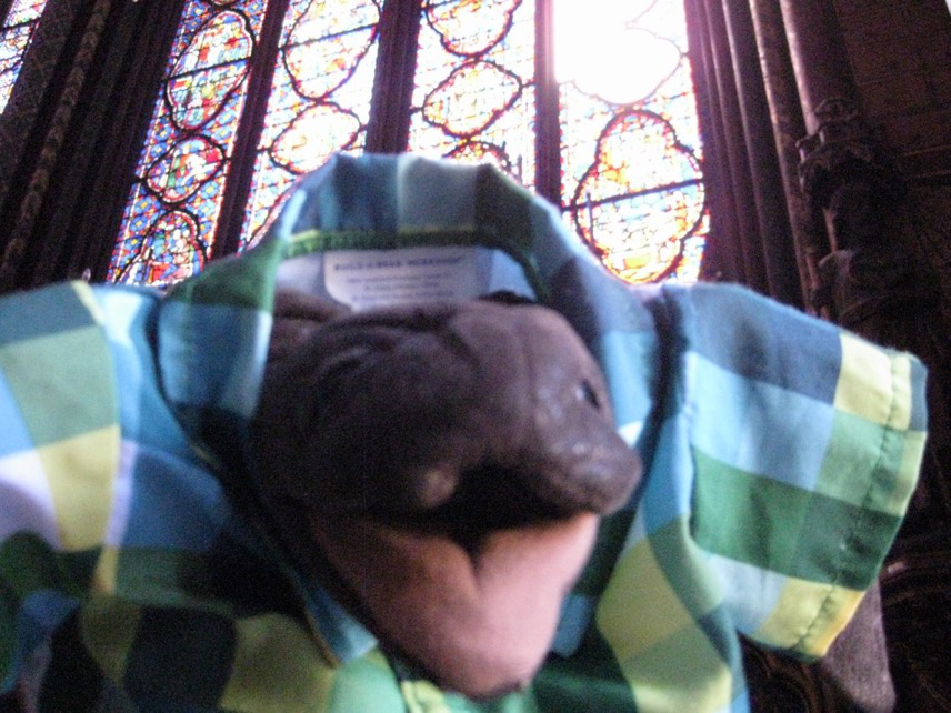 jellyman in front of the stained glass in notre dame cathedral in france