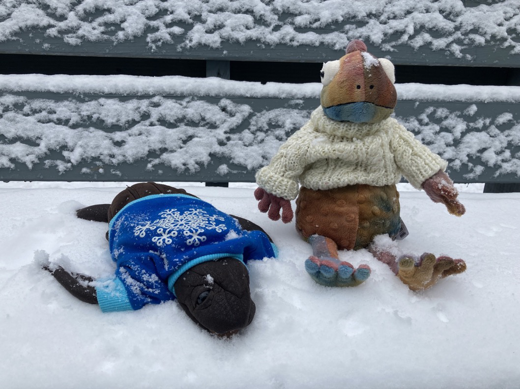 jellyman and paco sitting in the snow wearing sweaters